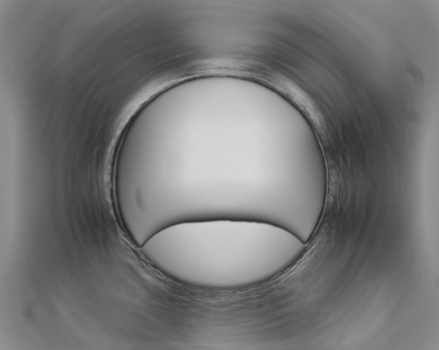 X0000112931435200908241044