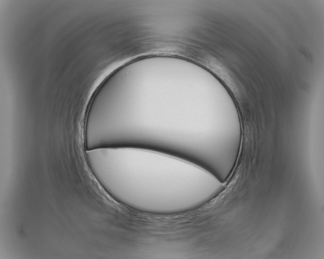 X0000112931436200908241044