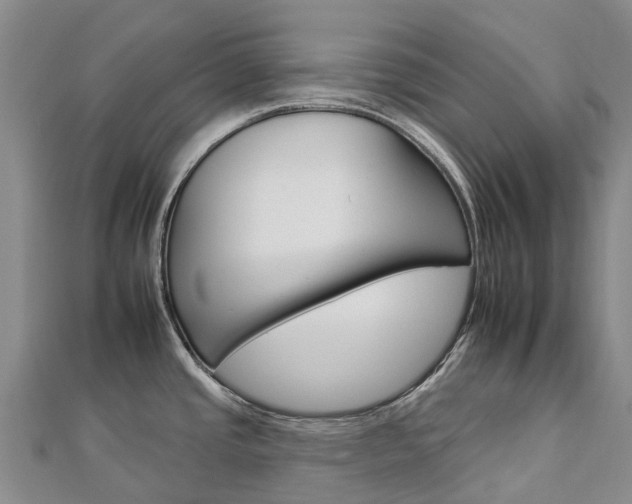 X0000112931437200908241044