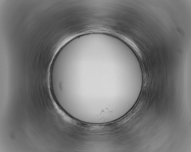 X0000112931439200908241044