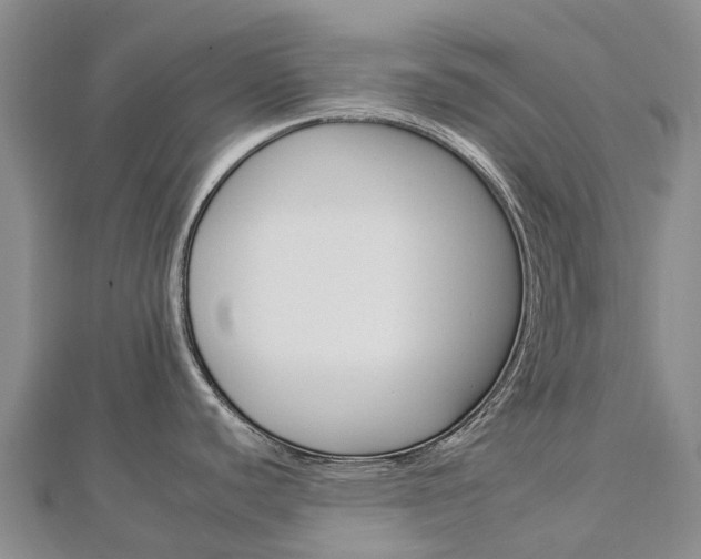 X0000112931440200908241044