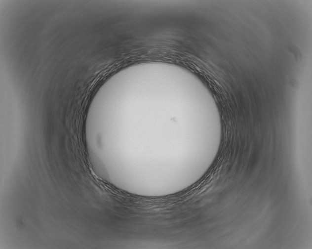 X0000112931441200908241043