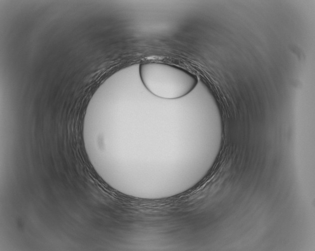 X0000112931443200908241043