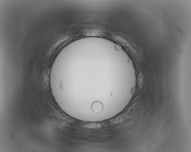 X0000112931446200908241043