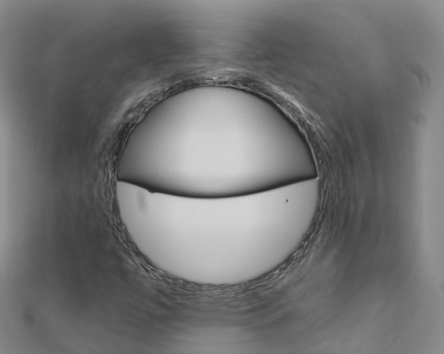 X0000112931447200908241043