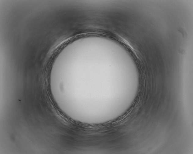 X0000112931448200908241043