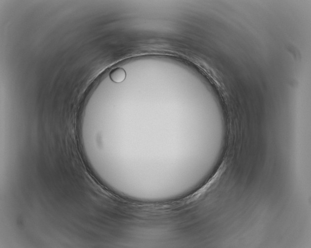 X0000112931449200908241043