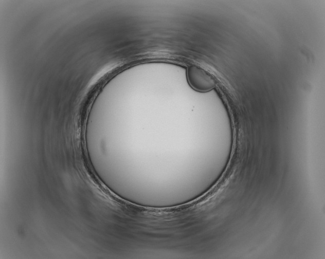 X0000112931450200908241043