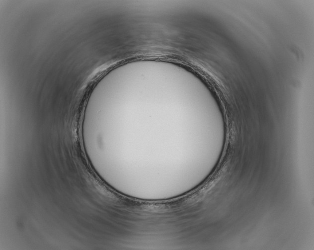 X0000112931451200908241043