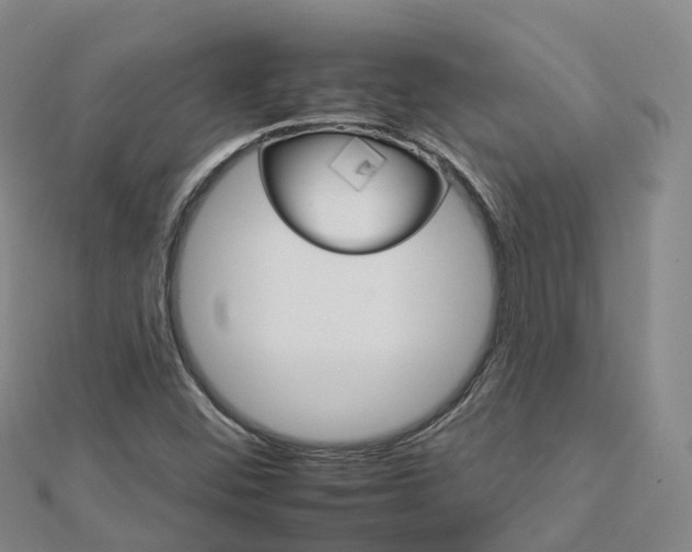 X0000112931452200908241043