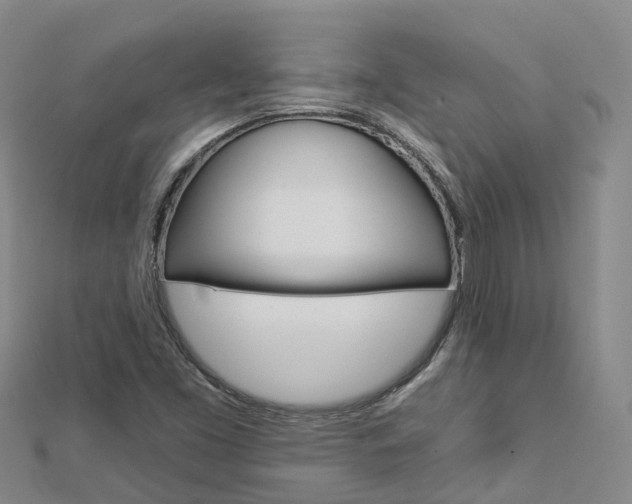 X0000112931453200908241043