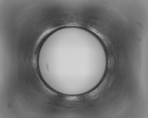 X0000112931454200908241043