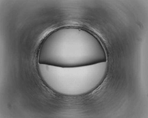 X0000112931455200908241043