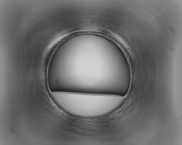 X0000112931456200908241043