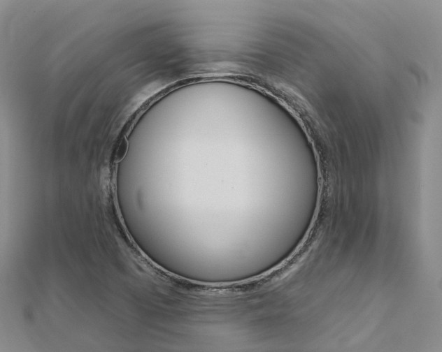 X0000112931457200908241043