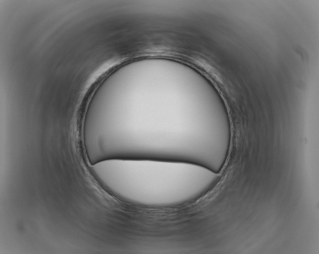 X0000112931458200908241043