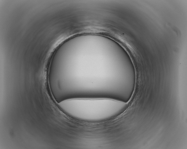 X0000112931459200908241043