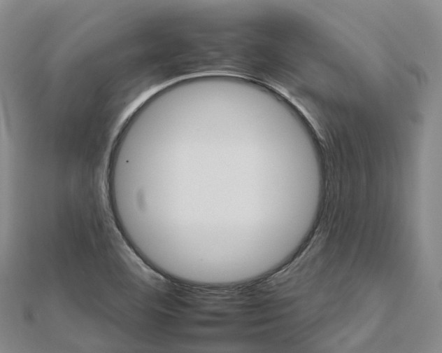 X0000112931460200908241043