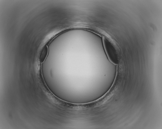 X0000112931461200908241043