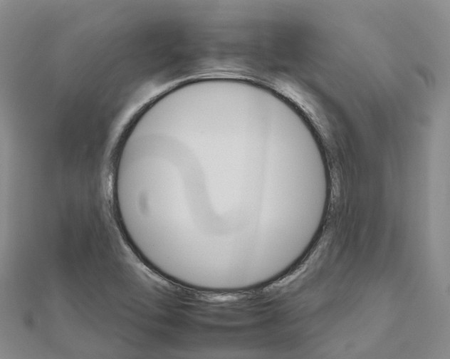 X0000112931462200908241043