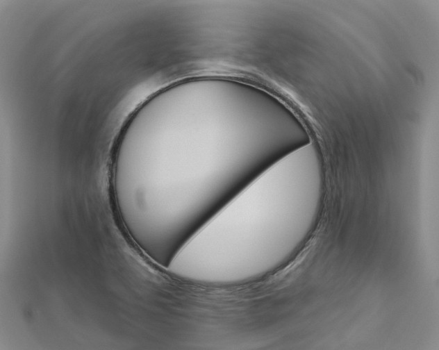 X0000112931463200908241043