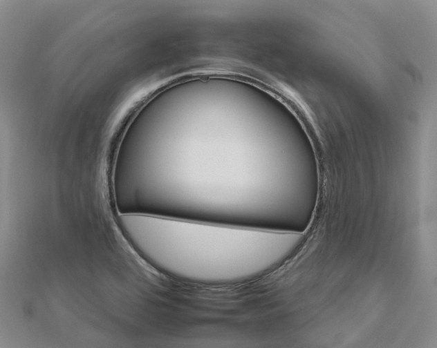X0000112931464200908241043