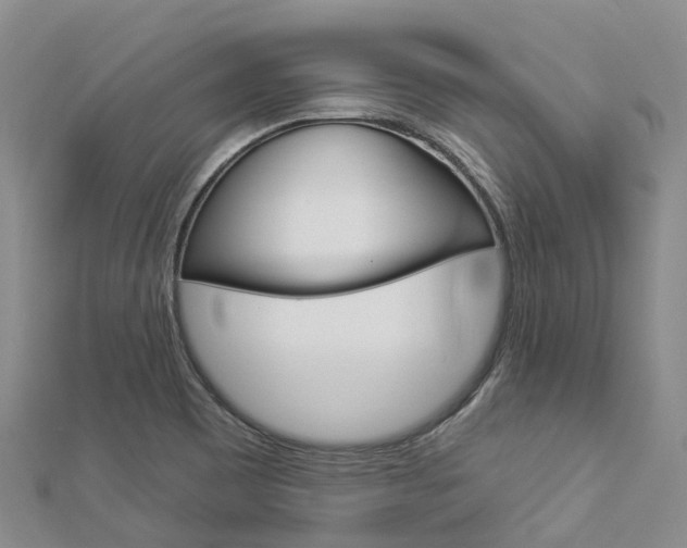 X0000112931465200908241043