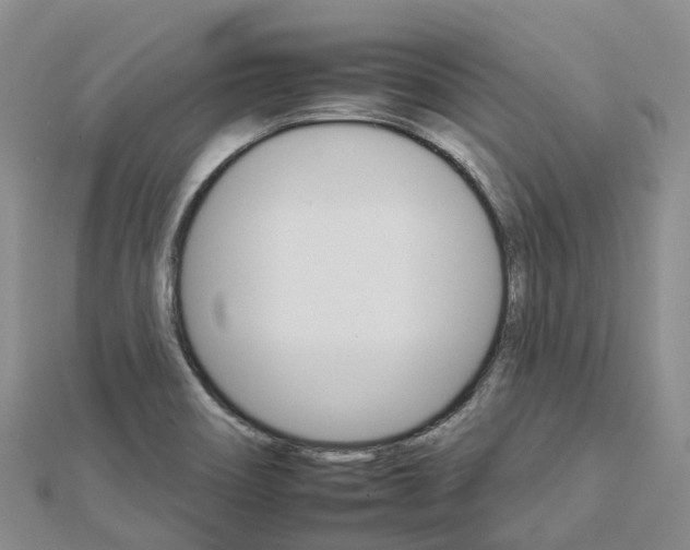X0000112931466200908241043