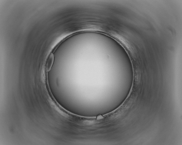 X0000112931468200908241043
