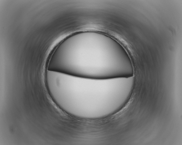 X0000112931469200908241043