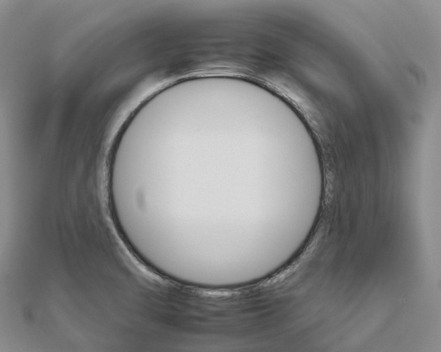 X0000112931470200908241043