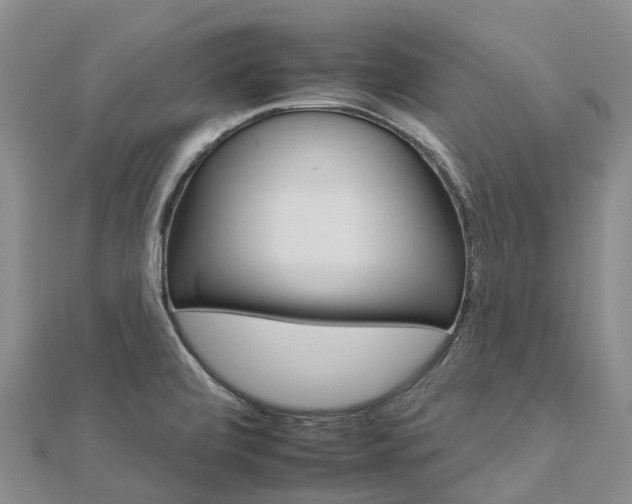 X0000112931472200908241043