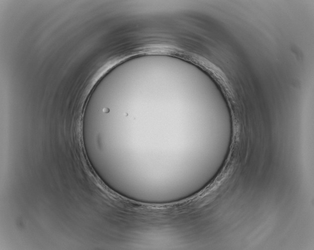 X0000112931473200908241043