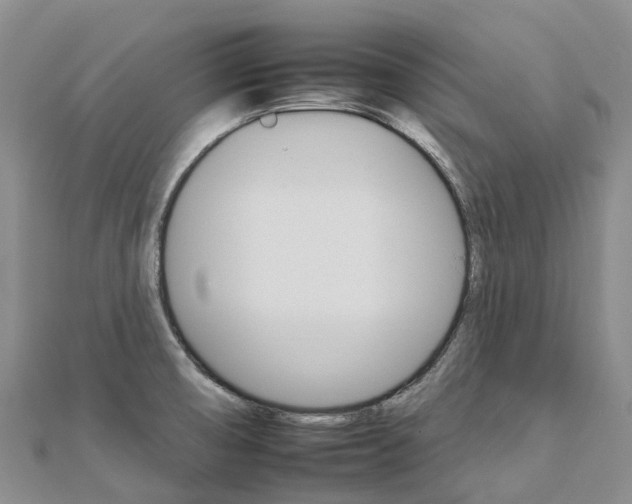 X0000112931474200908241043