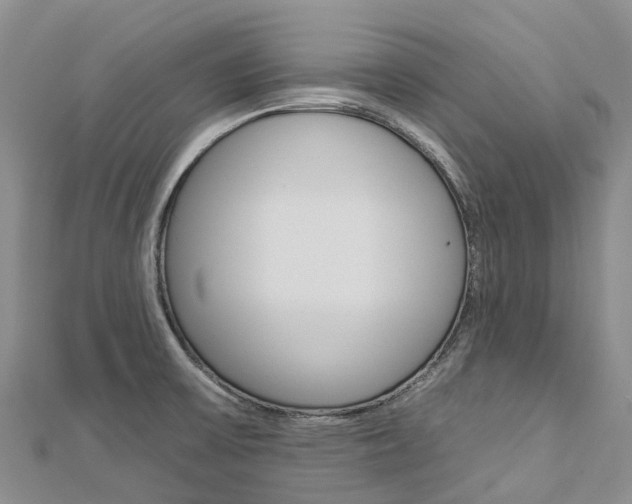 X0000112931475200908241042