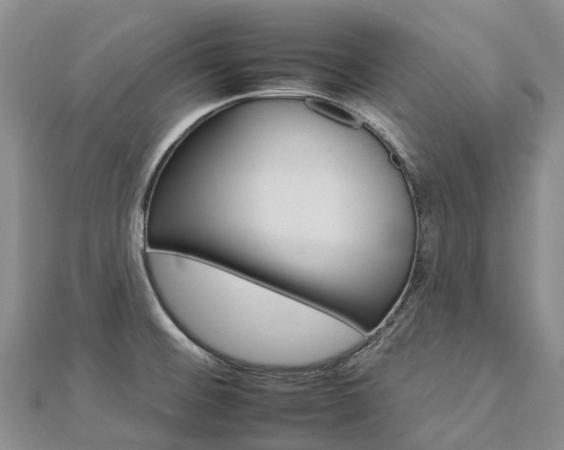 X0000112931476200908241042