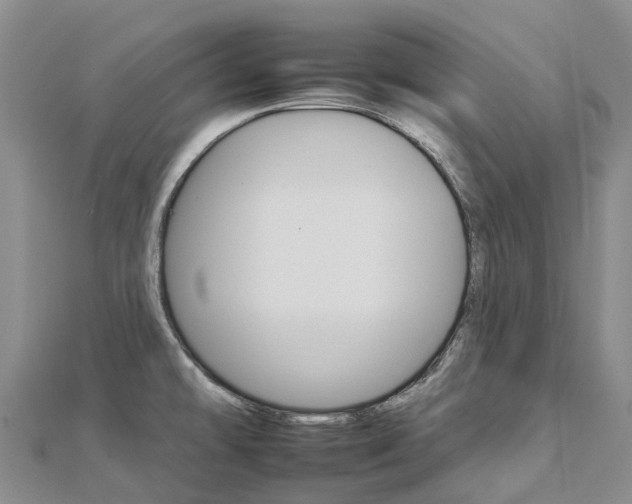 X0000112931478200908241042