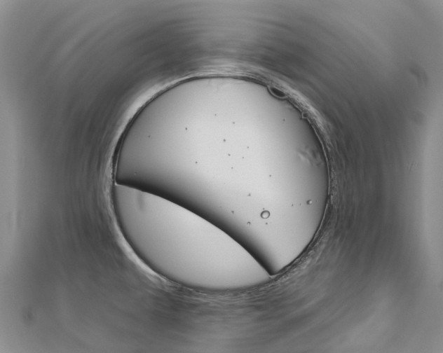 X0000112931479200908241042