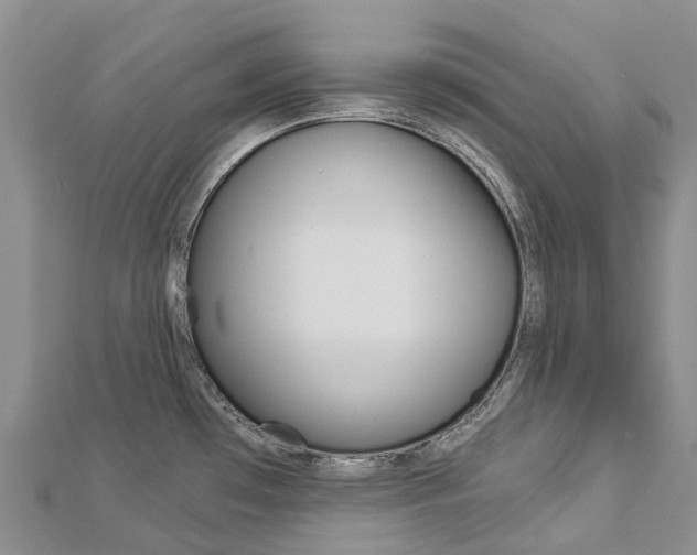 X0000112931481200908241042