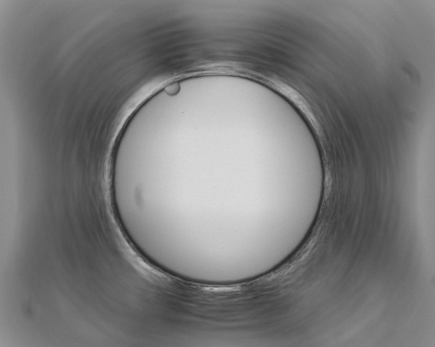 X0000112931482200908241042
