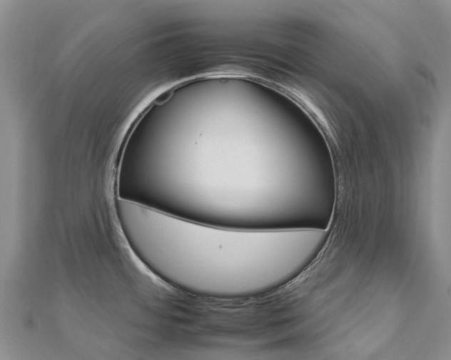 X0000112931484200908241042