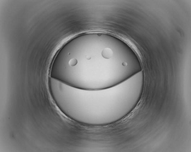 X0000112931485200908241042