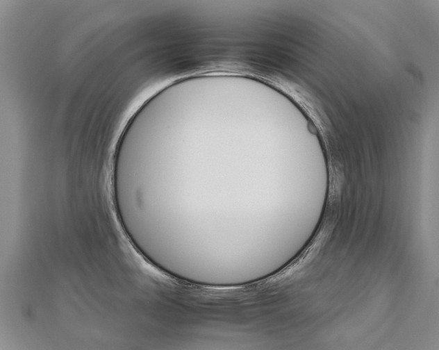 X0000112931486200908241042