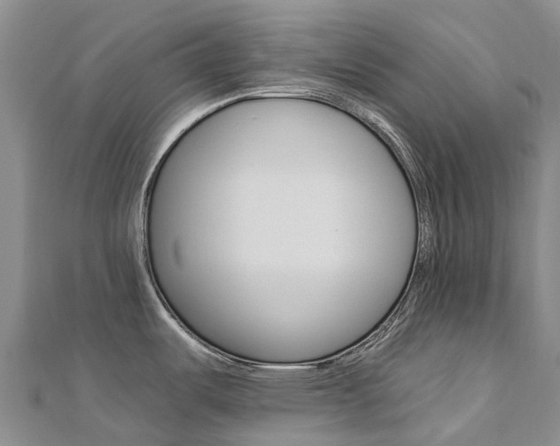 X0000112931487200908241042