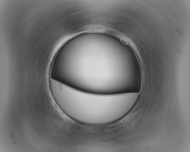 X0000112931488200908241042