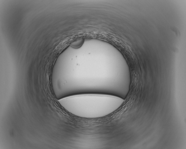 X0000112931489200908241042