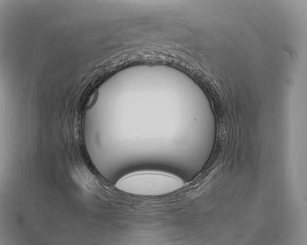 X0000112931490200908241042