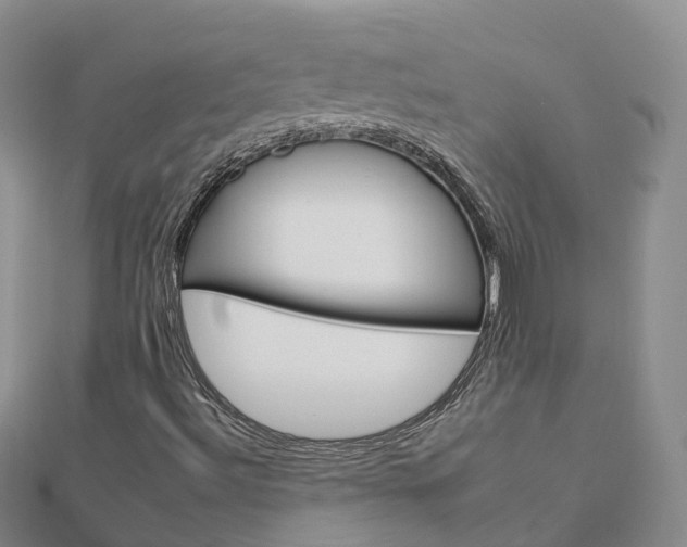X0000112931492200908241042