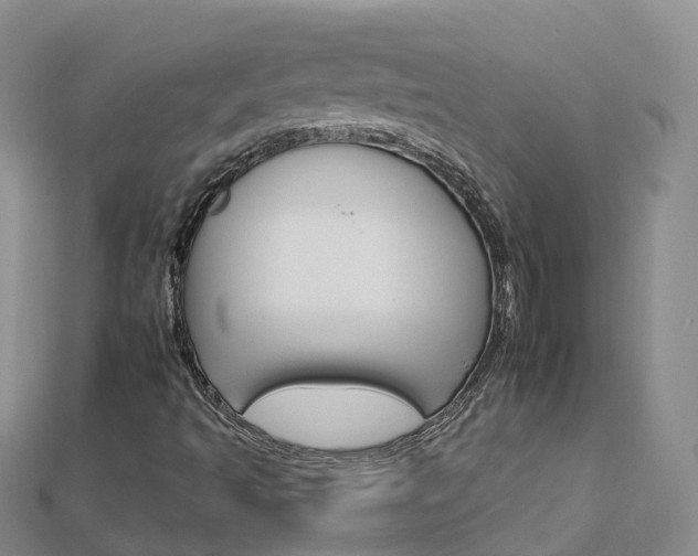 X0000112931493200908241042