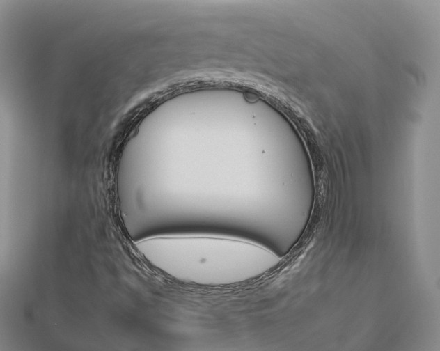 X0000112931494200908241042